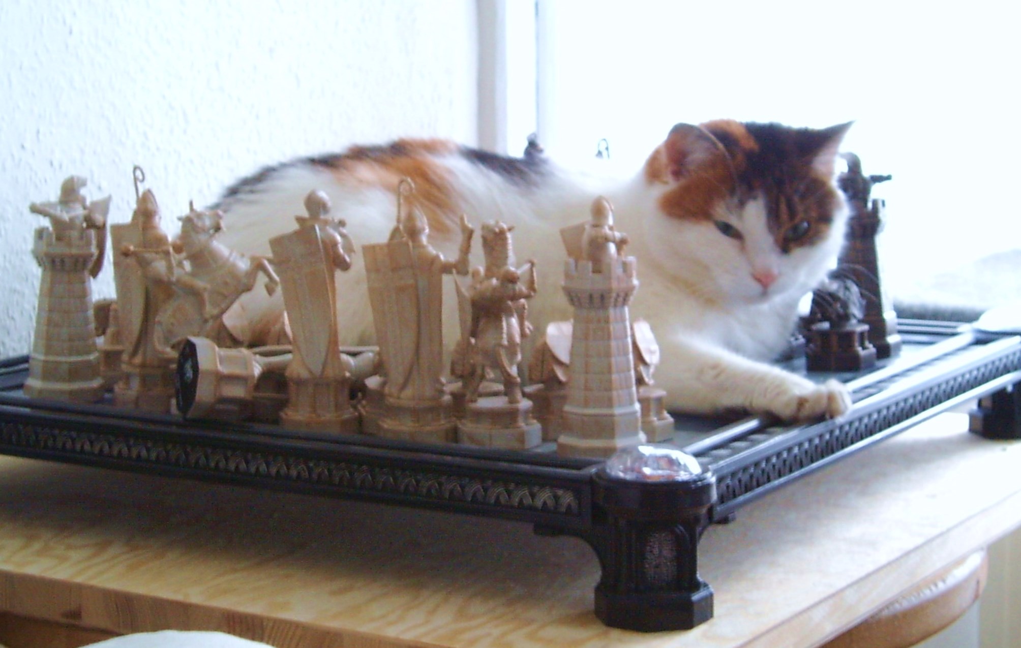 Katharina spielt Schach